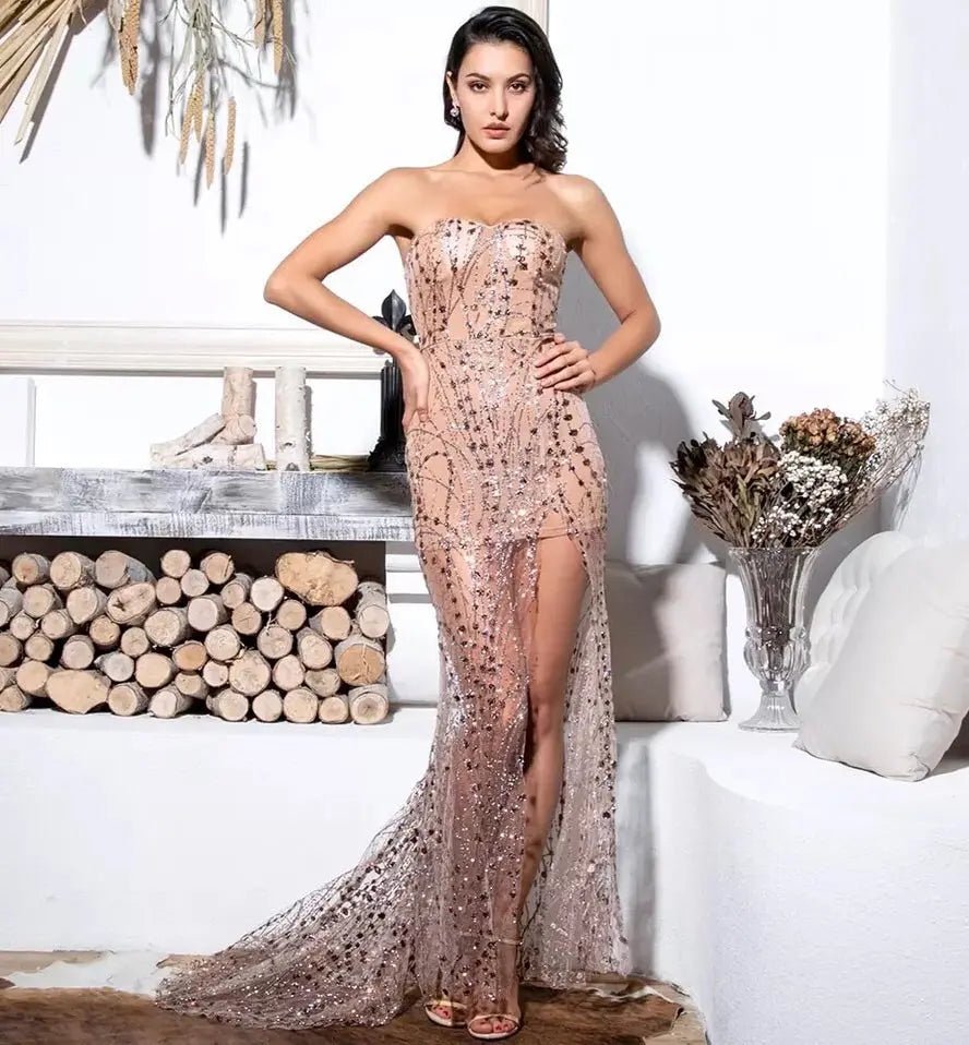 Glitter bodycon hot sale maxi dress