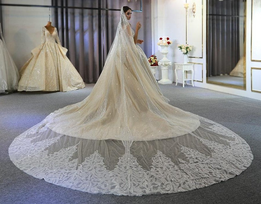 Extravagant wedding outlet veils