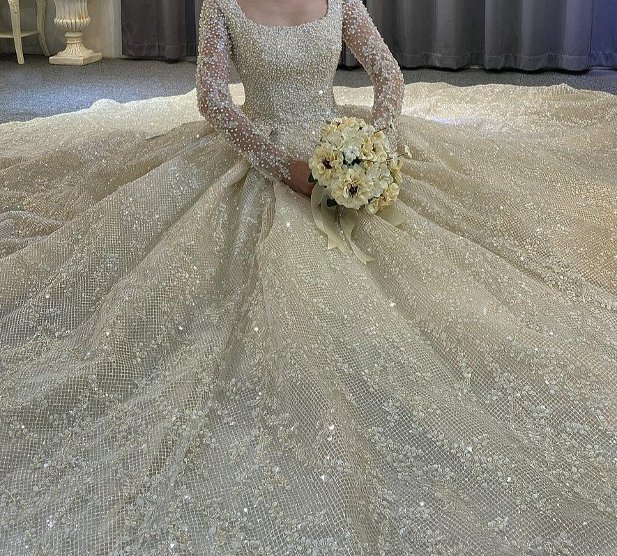 Long sleeve lace hotsell sparkle wedding dress